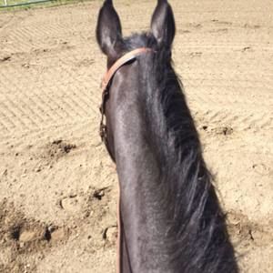 Meet your Posher, Carla